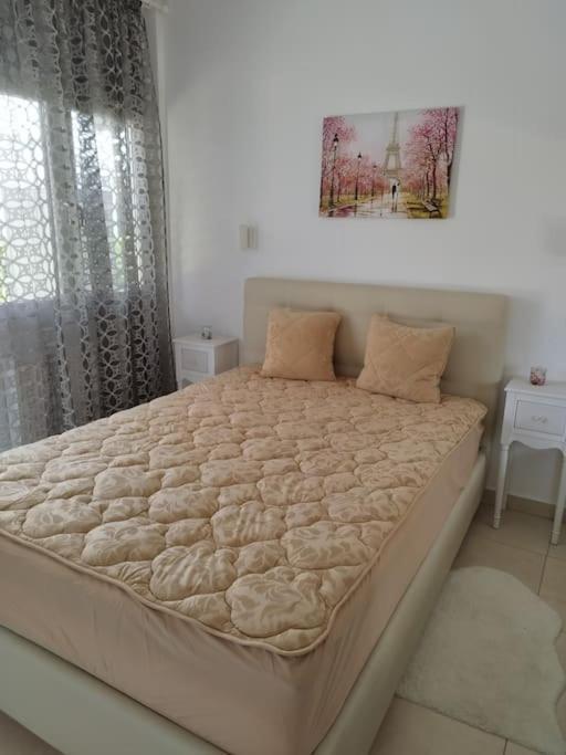 Renovated Apartment With Garden And Parking Space Peraía Exteriér fotografie